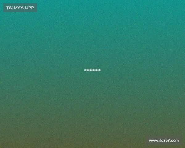 赞助过足球的赞助商企业